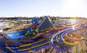 astrologer in blacktown